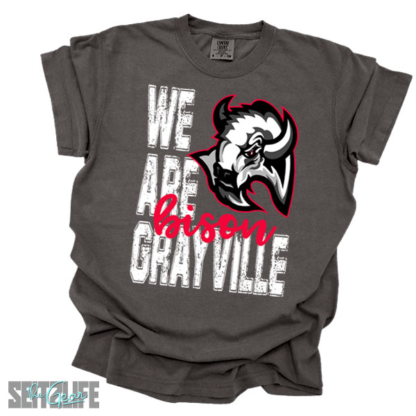 We Are Grayville T-Shirt (Kids) - Image 3